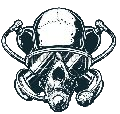 skull_logo